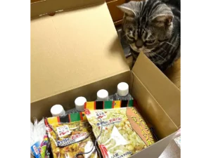 musubouを受け取った同居猫の写真 災害備蓄品 musubou 従業員と同居家族へプレゼント